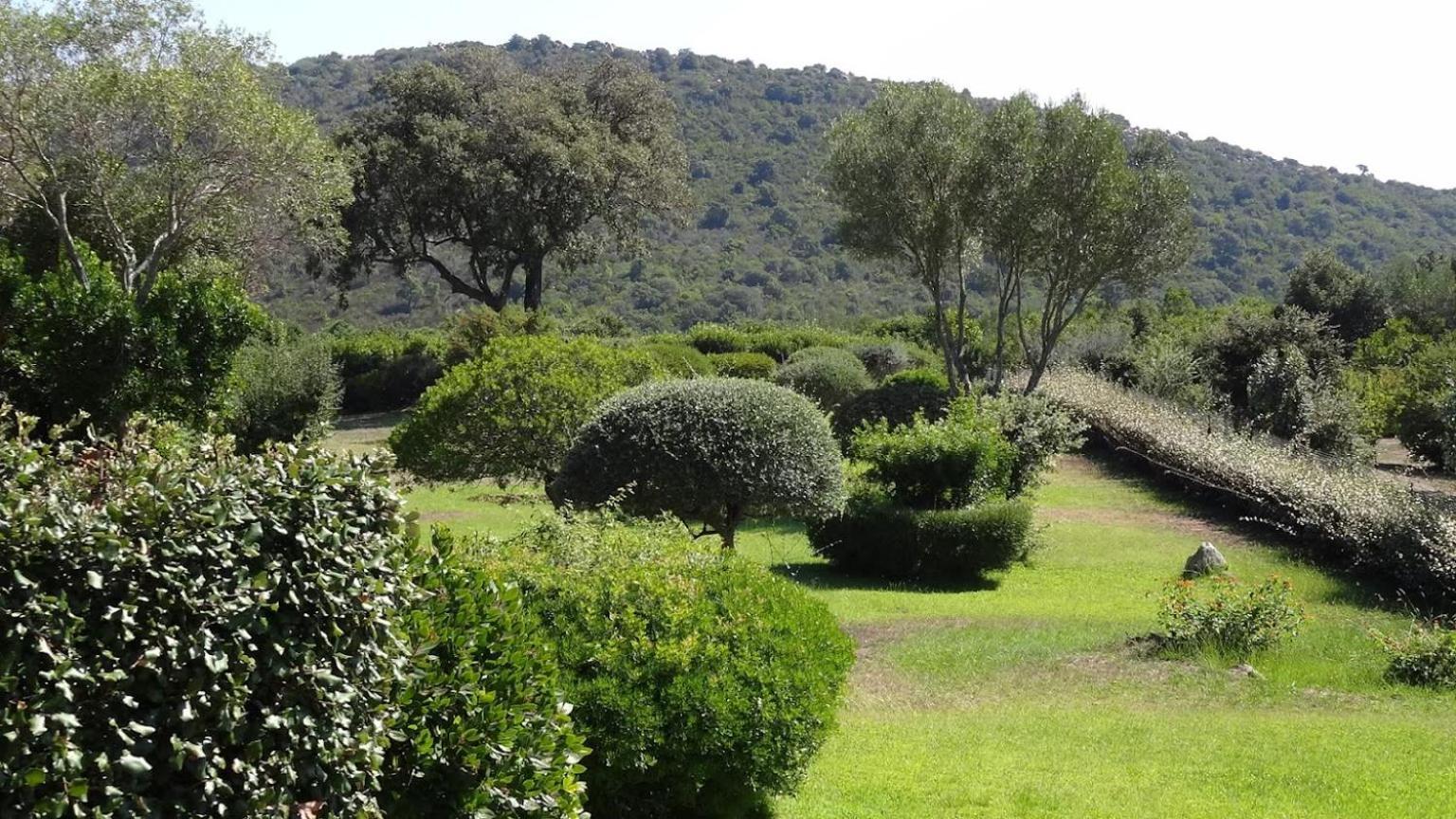 Les Hauts De Santa Giulia Porto-Vecchio  Exteriér fotografie
